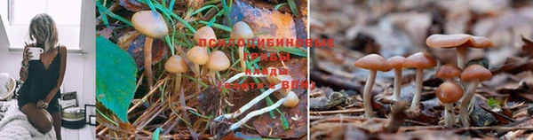 бутик Каменск-Шахтинский