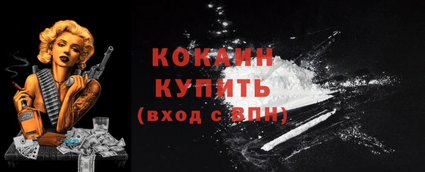 a pvp Каменногорск