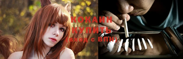 a pvp Каменногорск