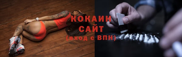 дурь Каменка