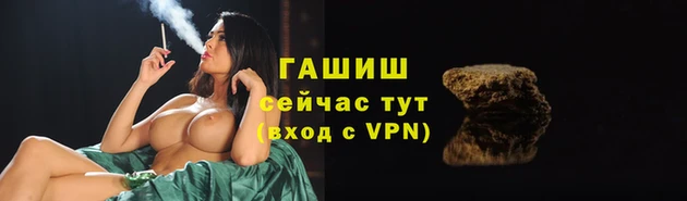 a pvp Каменногорск