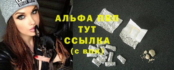 a pvp Каменногорск