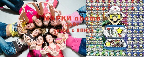 дурь Каменка