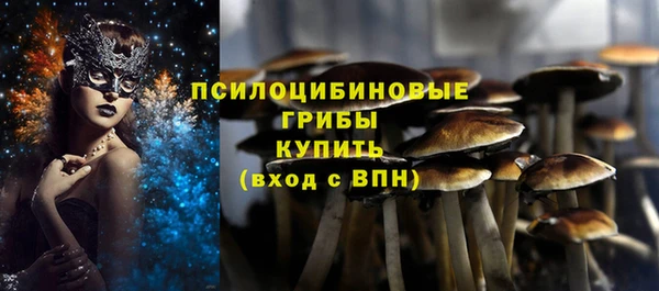 дурь Каменка